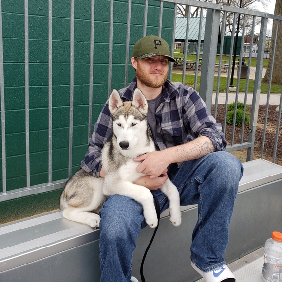 Meet your Posher, Dominic - Picture 3 of 5